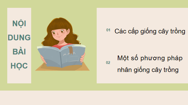 Giáo án điện tử Công nghệ 10 Kết nối tri thức Bài 13: Nhân giống cây trồng | PPT Công nghệ 10