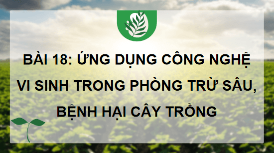 Giáo án điện tử Công nghệ 10 Kết nối tri thức Bài 18: Ứng dụng công nghệ vi sinh trong phòng trừ sâu, bệnh hại cây trồng | PPT Công nghệ 10