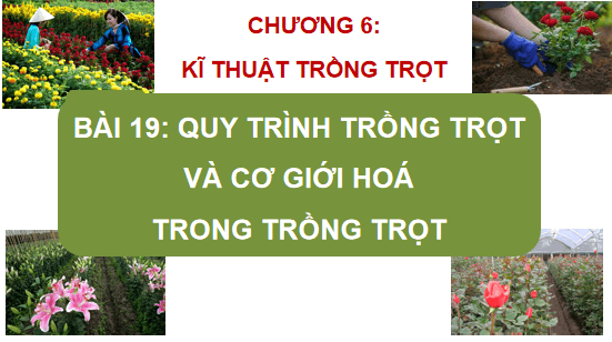 Giáo án điện tử Công nghệ 10 Kết nối tri thức Bài 19: Quy trình trồng trọt và cơ giới hoá trong trồng trọt | PPT Công nghệ 10