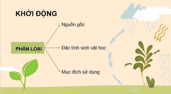 Giáo án điện tử Công nghệ 10 Kết nối tri thức Bài 2: Cây trồng và các yếu tố chính trong trồng trọt | PPT Công nghệ 10