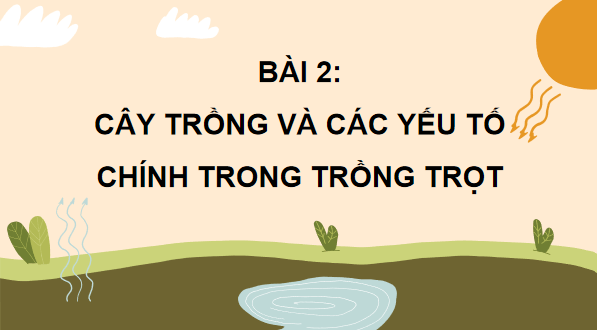 Giáo án điện tử Công nghệ 10 Kết nối tri thức Bài 2: Cây trồng và các yếu tố chính trong trồng trọt | PPT Công nghệ 10