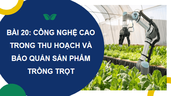 Giáo án điện tử Công nghệ 10 Kết nối tri thức Bài 20: Công nghệ cao trong thu hoạch và bảo quản sản phẩm trồng trọt | PPT Công nghệ 10