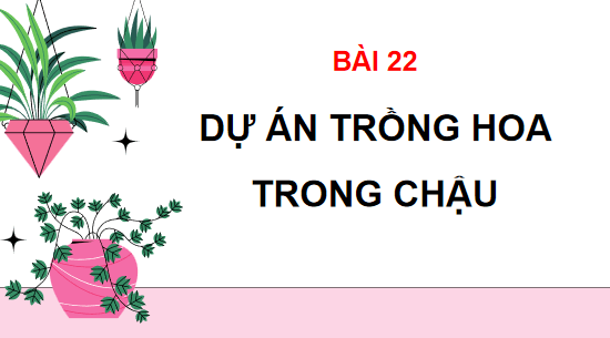 Giáo án điện tử Công nghệ 10 Kết nối tri thức Bài 22: Dự án trồng hoa trong chậu | PPT Công nghệ 10