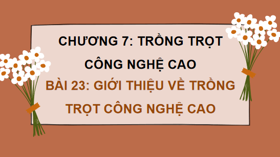 Giáo án điện tử Công nghệ 10 Kết nối tri thức Bài 23: Giới thiệu về trồng trọt công nghệ cao | PPT Công nghệ 10