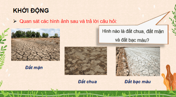 Giáo án điện tử Công nghệ 10 Kết nối tri thức Bài 4: Sử dụng, cải tạo và bảo vệ đất trồng | PPT Công nghệ 10