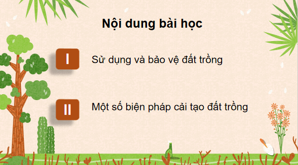 Giáo án điện tử Công nghệ 10 Kết nối tri thức Bài 4: Sử dụng, cải tạo và bảo vệ đất trồng | PPT Công nghệ 10