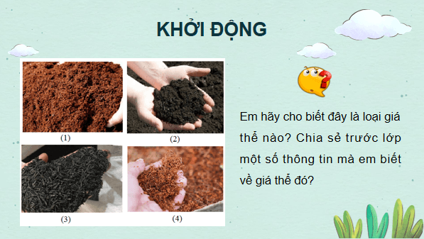 Giáo án điện tử Công nghệ 10 Kết nối tri thức Bài 5: Giá thể trồng cây | PPT Công nghệ 10