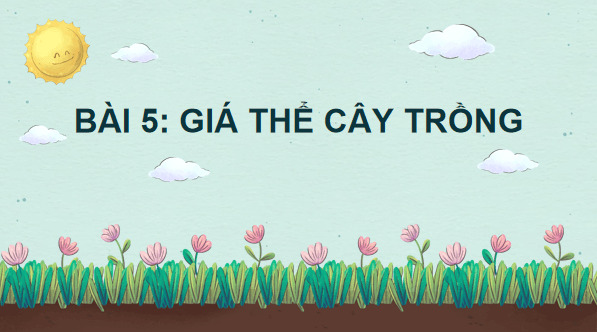 Giáo án điện tử Công nghệ 10 Kết nối tri thức Bài 5: Giá thể trồng cây | PPT Công nghệ 10