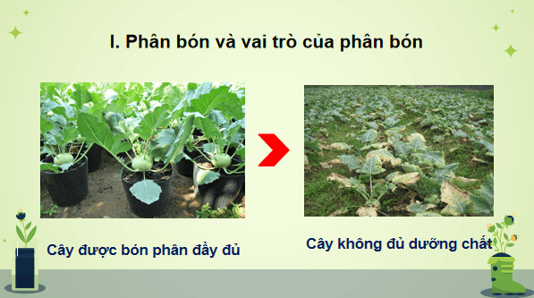Giáo án điện tử Công nghệ 10 Kết nối tri thức Bài 7: Giới thiệu về phân bón | PPT Công nghệ 10