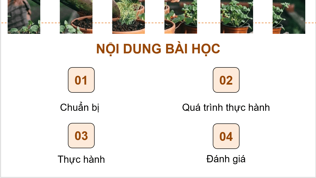 Giáo án điện tử Chuyên đề Công nghệ 10 Kết nối tri thức Bài 10: Thực hành: Trồng hoa, cây cảnh trong chậu | PPT Chuyên đề Công nghệ 10