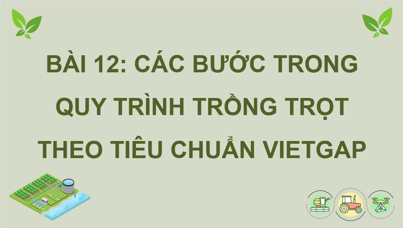 Giáo án điện tử Chuyên đề Công nghệ 10 Kết nối tri thức Bài 12: Các bước trong quy trình trồng trọt theo tiêu chuẩn VietGAP | PPT Chuyên đề Công nghệ 10