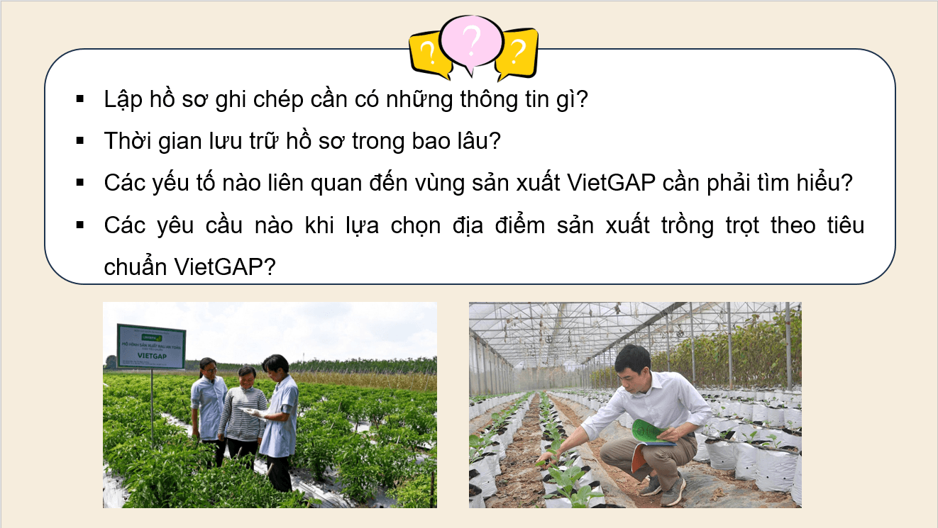 Giáo án điện tử Chuyên đề Công nghệ 10 Kết nối tri thức Bài 12: Các bước trong quy trình trồng trọt theo tiêu chuẩn VietGAP | PPT Chuyên đề Công nghệ 10