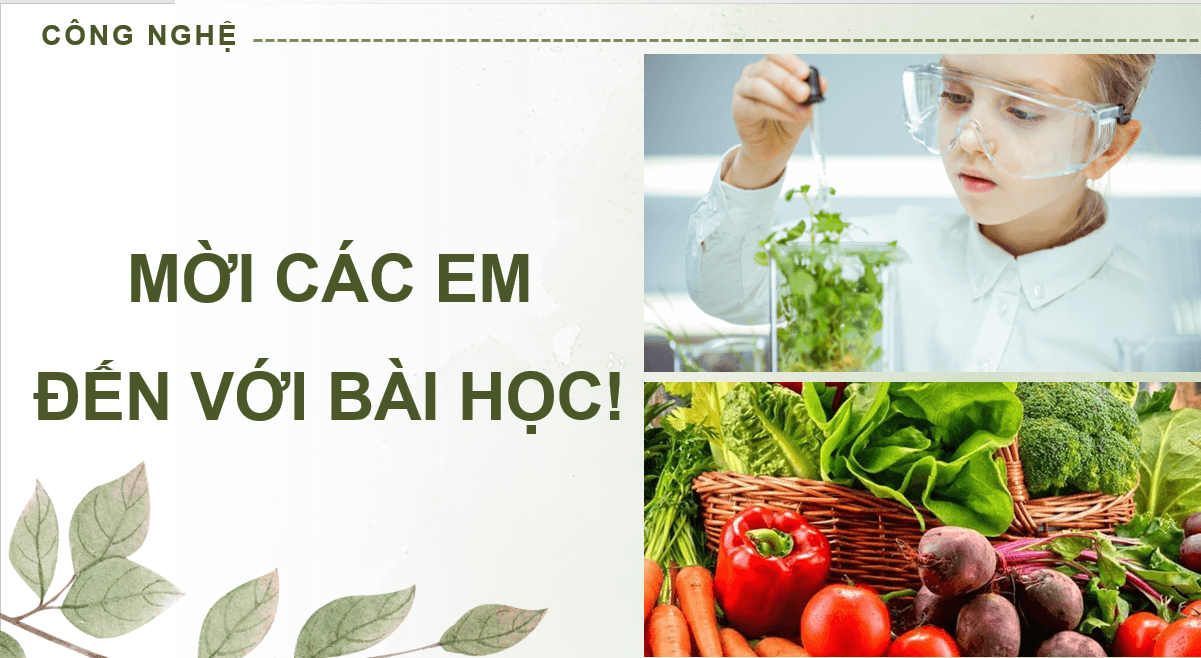 Giáo án điện tử Chuyên đề Công nghệ 10 Kết nối tri thức Bài 14: Thực hành: Đo dư lượng nitrate trong rau, củ, quả | PPT Chuyên đề Công nghệ 10