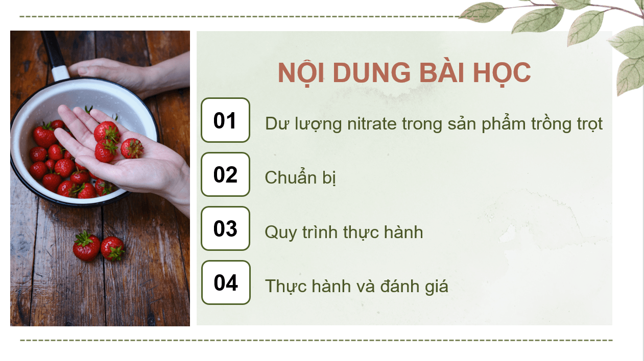 Giáo án điện tử Chuyên đề Công nghệ 10 Kết nối tri thức Bài 14: Thực hành: Đo dư lượng nitrate trong rau, củ, quả | PPT Chuyên đề Công nghệ 10