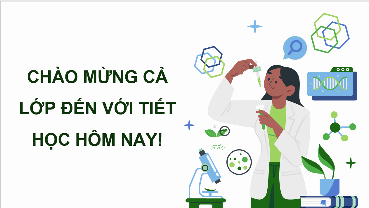Giáo án điện tử Chuyên đề Công nghệ 10 Kết nối tri thức Bài 2: Một số ứng dụng công nghệ sinh học trong chọn tạo giống cây trồng | PPT Chuyên đề Công nghệ 10