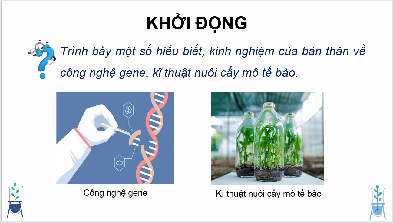 Giáo án điện tử Chuyên đề Công nghệ 10 Kết nối tri thức Bài 2: Một số ứng dụng công nghệ sinh học trong chọn tạo giống cây trồng | PPT Chuyên đề Công nghệ 10