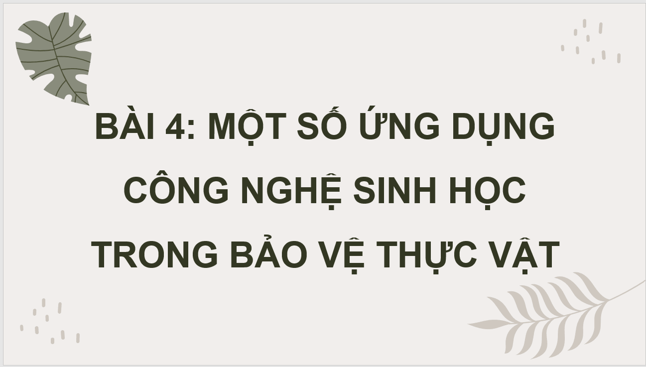 Giáo án điện tử Chuyên đề Công nghệ 10 Kết nối tri thức Bài 4: Một số ứng dụng công nghệ sinh học trong bảo vệ thực vật | PPT Chuyên đề Công nghệ 10