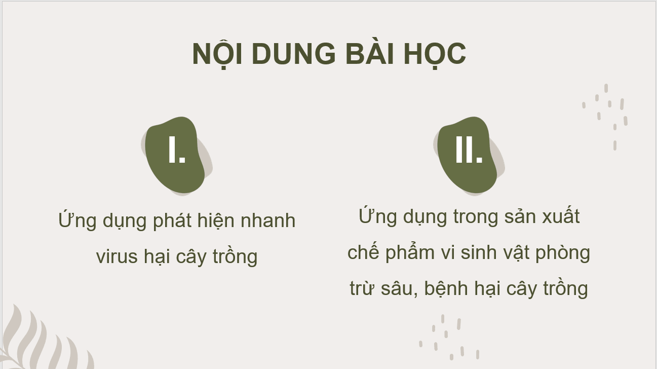 Giáo án điện tử Chuyên đề Công nghệ 10 Kết nối tri thức Bài 4: Một số ứng dụng công nghệ sinh học trong bảo vệ thực vật | PPT Chuyên đề Công nghệ 10