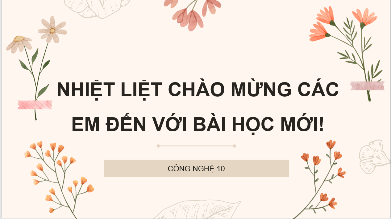 Giáo án điện tử Chuyên đề Công nghệ 10 Kết nối tri thức Bài 5: Giới thiệu về hoa, cây cảnh | PPT Chuyên đề Công nghệ 10