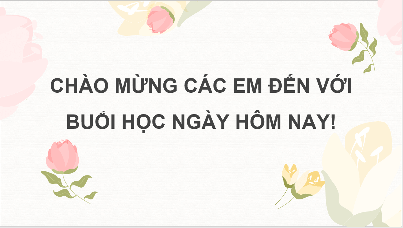 Giáo án điện tử Chuyên đề Công nghệ 10 Kết nối tri thức Bài 6: Kĩ thuật trồng và chăm sóc hoa hồng | PPT Chuyên đề Công nghệ 10