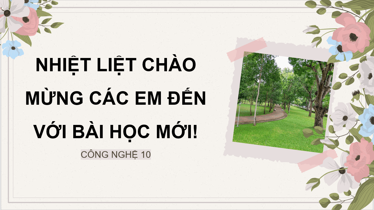 Giáo án điện tử Chuyên đề Công nghệ 10 Kết nối tri thức Bài 9: Kĩ thuật trồng đỗ quyên | PPT Chuyên đề Công nghệ 10