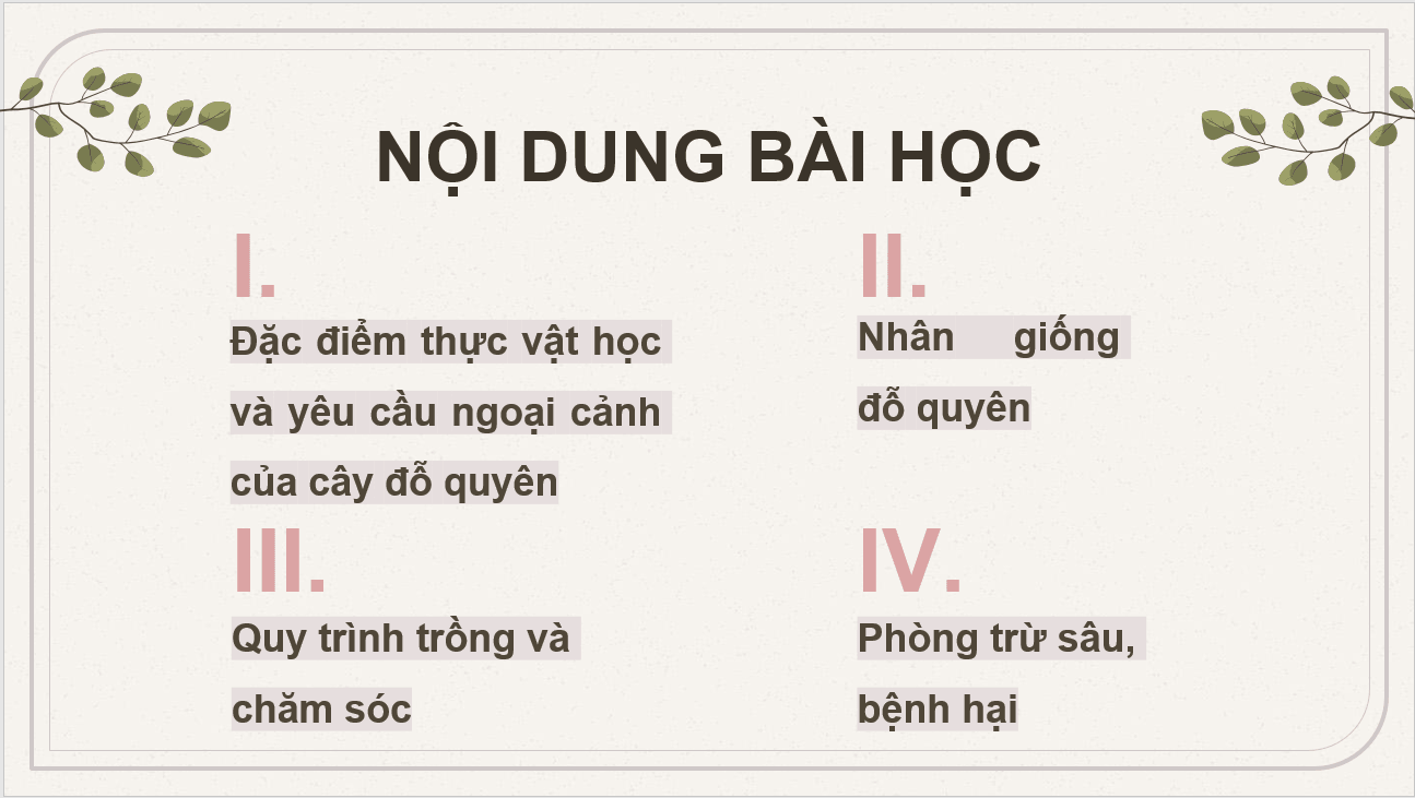 Giáo án điện tử Chuyên đề Công nghệ 10 Kết nối tri thức Bài 9: Kĩ thuật trồng đỗ quyên | PPT Chuyên đề Công nghệ 10