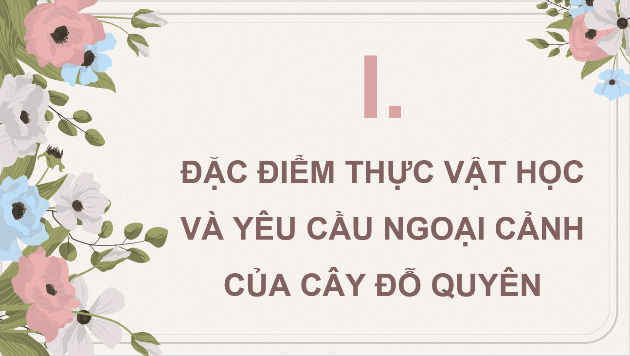 Giáo án điện tử Chuyên đề Công nghệ 10 Kết nối tri thức Bài 9: Kĩ thuật trồng đỗ quyên | PPT Chuyên đề Công nghệ 10