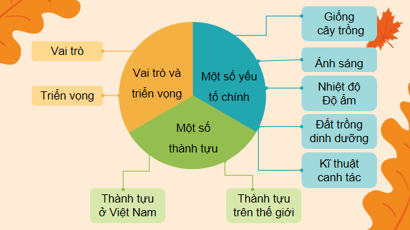 Giáo án điện tử Công nghệ 10 Kết nối tri thức Ôn tập chương 1 | PPT Công nghệ 10