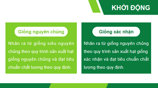 Giáo án điện tử Công nghệ 10 Kết nối tri thức Ôn tập chương 4 | PPT Công nghệ 10