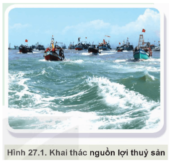 Giáo án Công nghệ 12 Kết nối tri thức Bài 27: Khai thác nguồn lợi thuỷ sản (ảnh 1)
