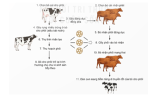 Giáo án Chuyên đề Công nghệ 12 Kết nối tri thức Bài 1: Bài mở đầu