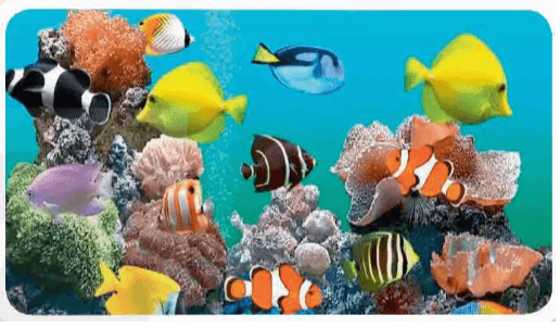 Giáo án Chuyên đề Công nghệ 12 Kết nối tri thức Bài 10: Giới thiệu chung về cá cảnh