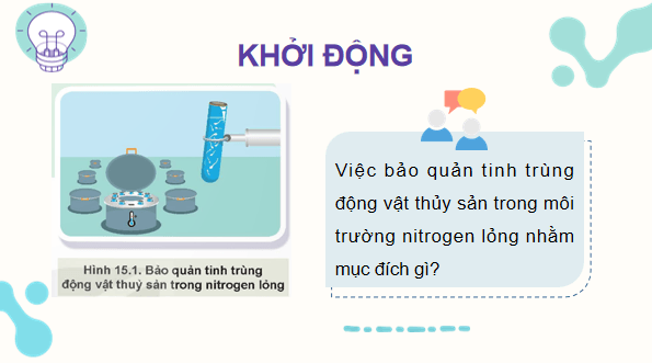 Giáo án điện tử Công nghệ 12 Kết nối tri thức Bài 15: Ứng dụng công nghệ sinh học trong chọn và nhân giống thuỷ sản | PPT Công nghệ 12