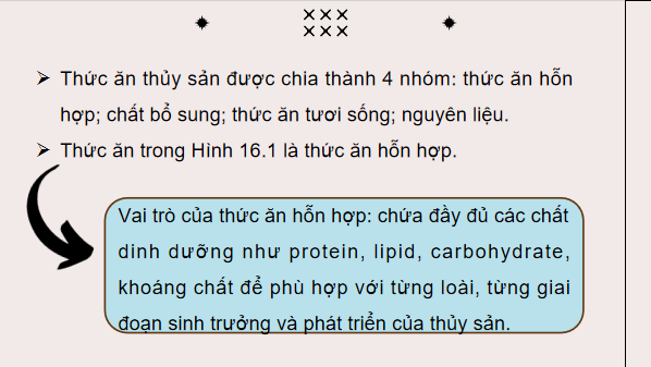 Giáo án điện tử Công nghệ 12 Kết nối tri thức Bài 16: Thức ăn thuỷ sản | PPT Công nghệ 12