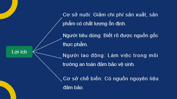 Giáo án điện tử Công nghệ 12 Kết nối tri thức Bài 20: Nuôi thuỷ sản theo tiêu chuẩn VietGAP | PPT Công nghệ 12