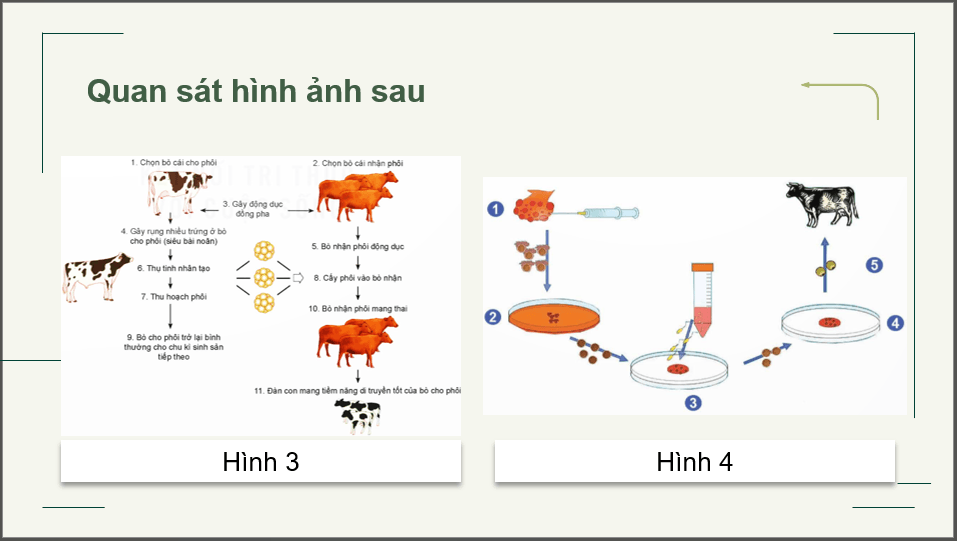 Giáo án điện tử Chuyên đề Công nghệ 12 Kết nối tri thức Bài 1: Bài mở đầu | PPT Chuyên đề Công nghệ 12