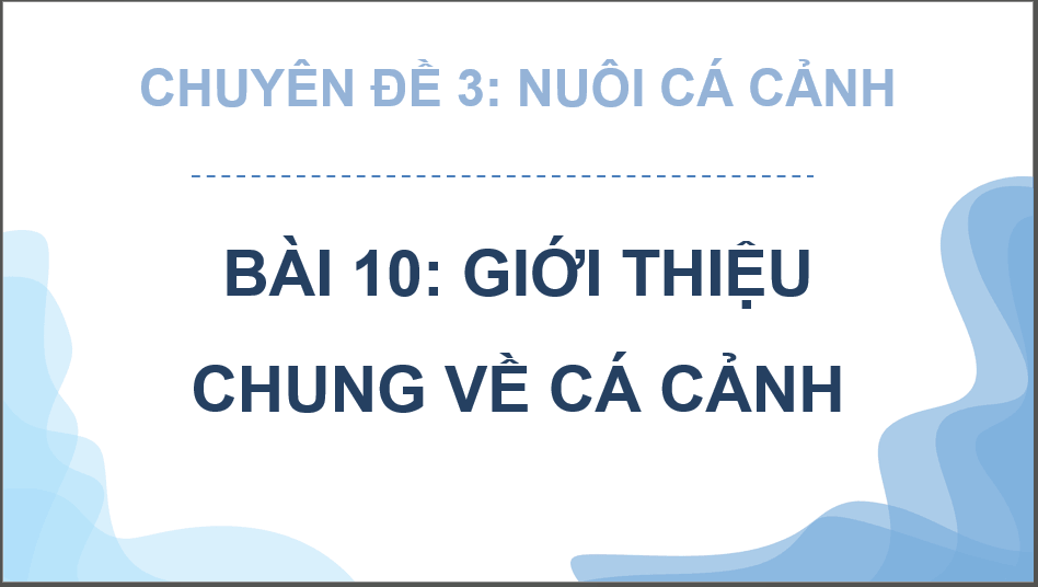 Giáo án điện tử Chuyên đề Công nghệ 12 Kết nối tri thức Bài 10: Giới thiệu chung về cá cảnh | PPT Chuyên đề Công nghệ 12
