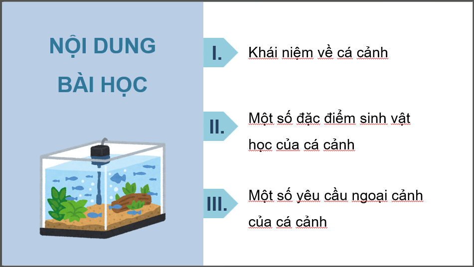 Giáo án điện tử Chuyên đề Công nghệ 12 Kết nối tri thức Bài 10: Giới thiệu chung về cá cảnh | PPT Chuyên đề Công nghệ 12