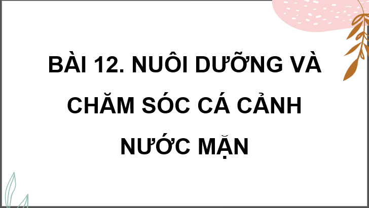 Giáo án điện tử Chuyên đề Công nghệ 12 Kết nối tri thức Bài 12: Nuôi dưỡng và chăm sóc cá cảnh nước mặn | PPT Chuyên đề Công nghệ 12