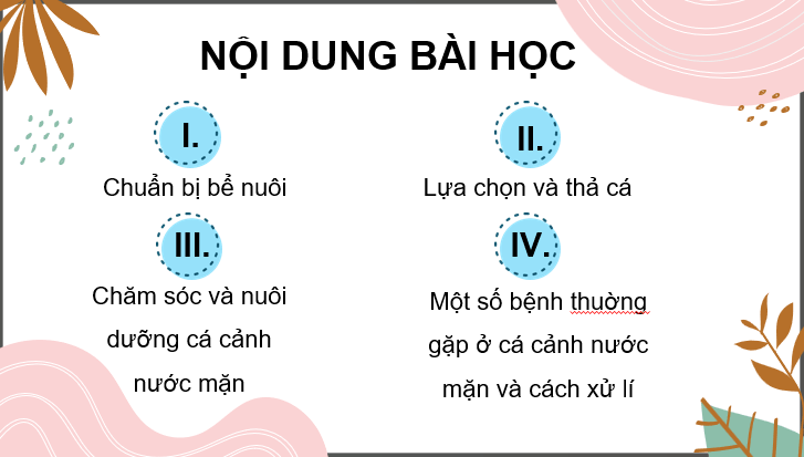 Giáo án điện tử Chuyên đề Công nghệ 12 Kết nối tri thức Bài 12: Nuôi dưỡng và chăm sóc cá cảnh nước mặn | PPT Chuyên đề Công nghệ 12
