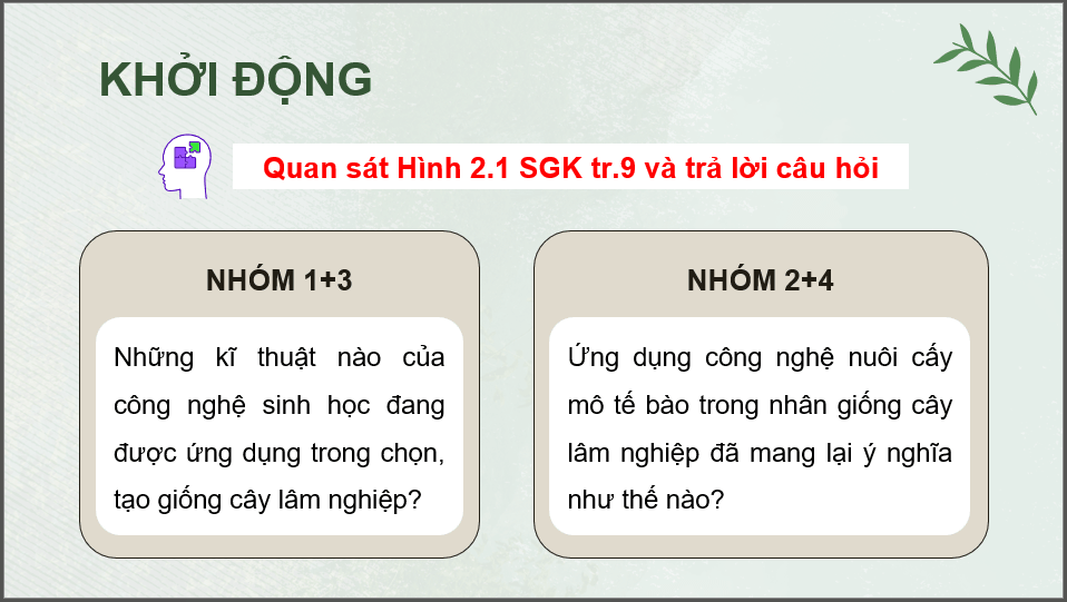 Giáo án điện tử Chuyên đề Công nghệ 12 Kết nối tri thức Bài 2: Công nghệ sinh học trong chọn, tạo và nhân giống cây lâm nghiệp | PPT Chuyên đề Công nghệ 12