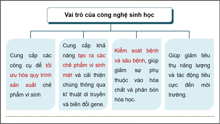Giáo án điện tử Chuyên đề Công nghệ 12 Kết nối tri thức Bài 3: Công nghệ sinh học trong sản xuất chế phẩm vi sinh phục vụ lâm nghiệp | PPT Chuyên đề Công nghệ 12
