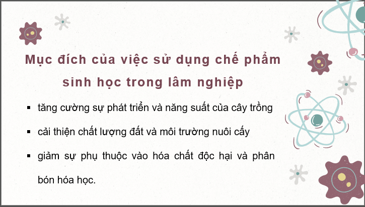 Giáo án điện tử Chuyên đề Công nghệ 12 Kết nối tri thức Bài 3: Công nghệ sinh học trong sản xuất chế phẩm vi sinh phục vụ lâm nghiệp | PPT Chuyên đề Công nghệ 12