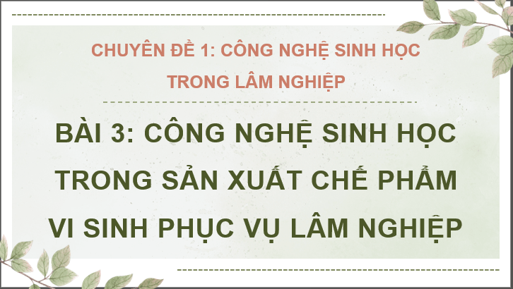 Giáo án điện tử Chuyên đề Công nghệ 12 Kết nối tri thức Bài 3: Công nghệ sinh học trong sản xuất chế phẩm vi sinh phục vụ lâm nghiệp | PPT Chuyên đề Công nghệ 12