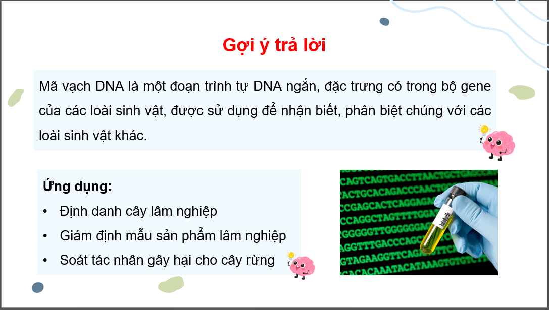 Giáo án điện tử Chuyên đề Công nghệ 12 Kết nối tri thức Bài 4: Ứng dụng mã vạch DNA trong lâm nghiệp | PPT Chuyên đề Công nghệ 12