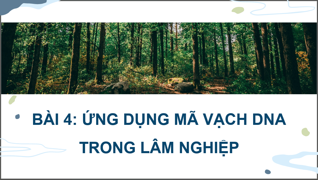 Giáo án điện tử Chuyên đề Công nghệ 12 Kết nối tri thức Bài 4: Ứng dụng mã vạch DNA trong lâm nghiệp | PPT Chuyên đề Công nghệ 12