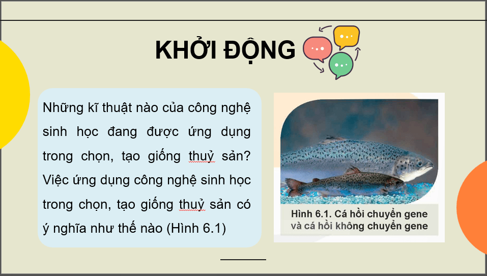 Giáo án điện tử Chuyên đề Công nghệ 12 Kết nối tri thức Bài 6: Một số ứng dụng công nghệ sinh học trong chọn, tạo giống thuỷ sản | PPT Chuyên đề Công nghệ 12