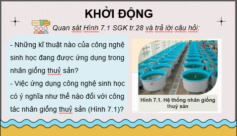Giáo án điện tử Chuyên đề Công nghệ 12 Kết nối tri thức Bài 7: Ứng dụng công nghệ sinh học trong sản xuất giống thuỷ sản | PPT Chuyên đề Công nghệ 12