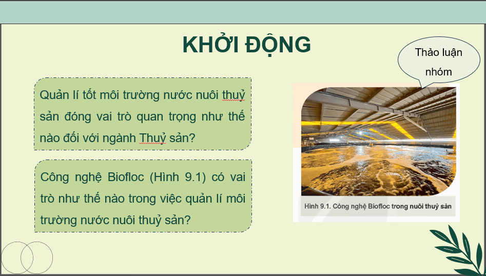 Giáo án điện tử Chuyên đề Công nghệ 12 Kết nối tri thức Bài 9: Ứng dụng công nghệ sinh học trong quản lí môi trường nước nuôi thuỷ sản | PPT Chuyên đề Công nghệ 12