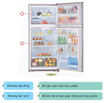 Giáo án Công nghệ lớp 5 Kết nối tri thức Bài 6: Sử dụng tủ lạnh